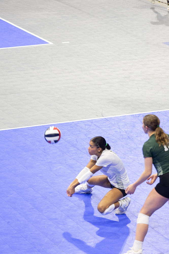 %_tempFileName1M6A7737%