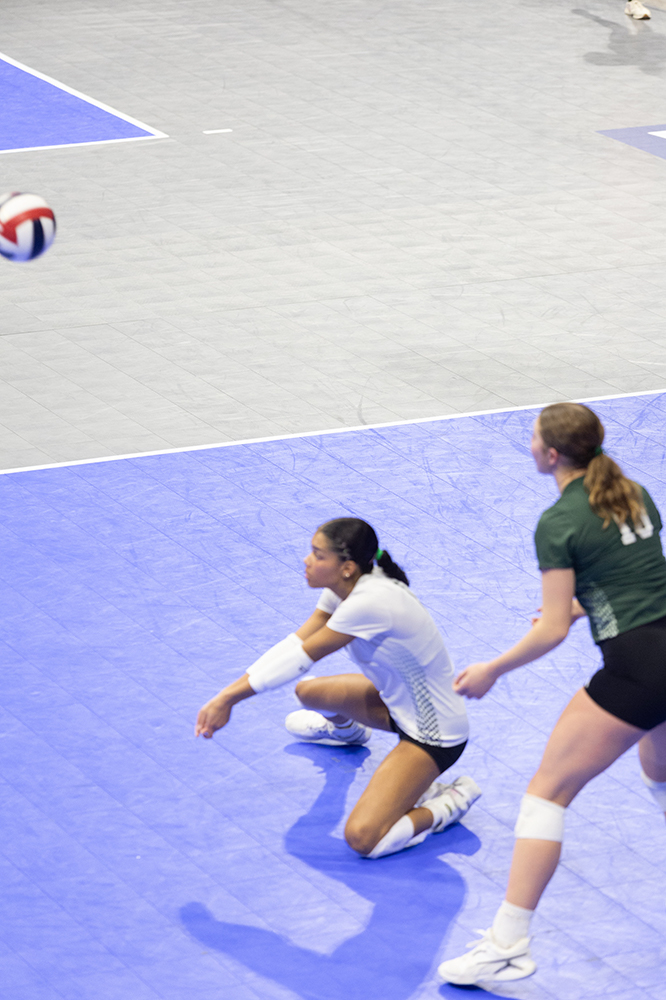 %_tempFileName1M6A7739%