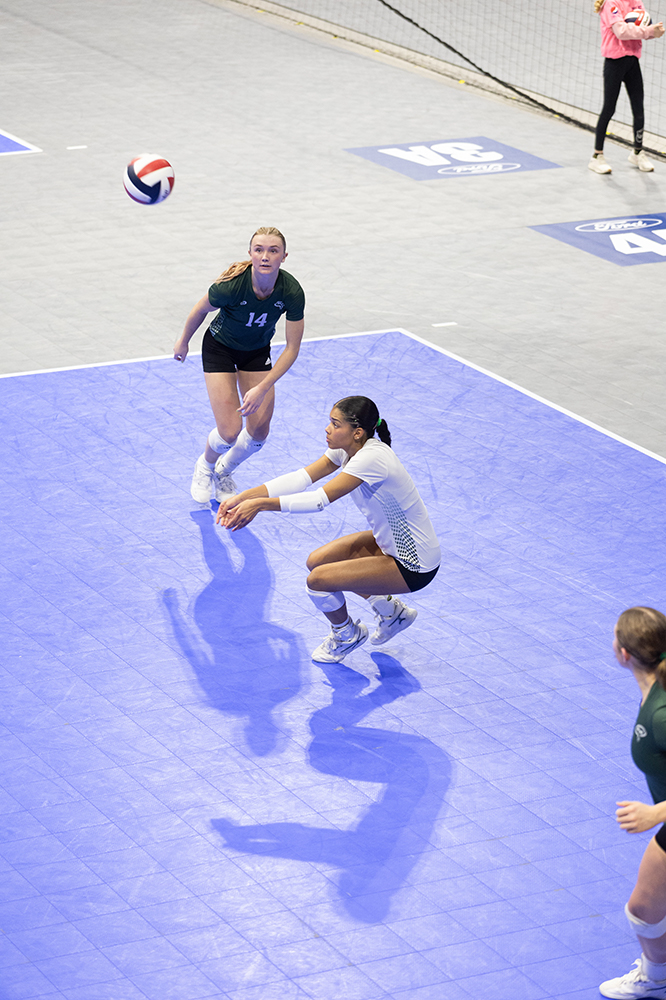 %_tempFileName1M6A7778%