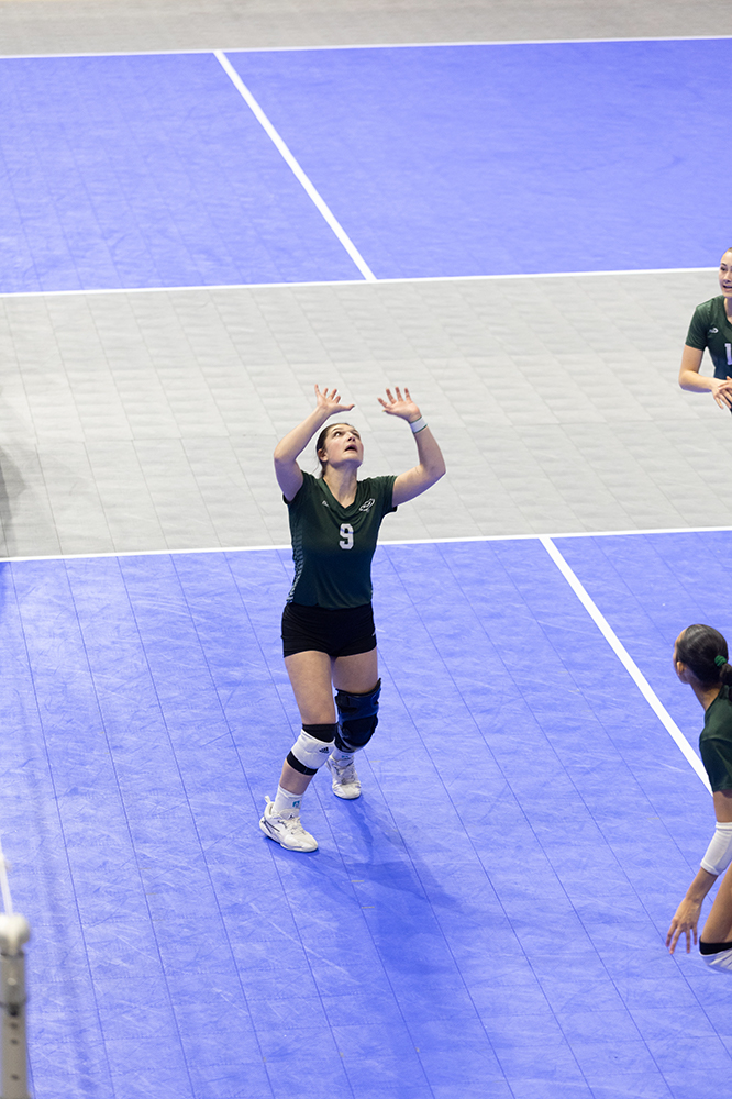 %_tempFileName1M6A7781%