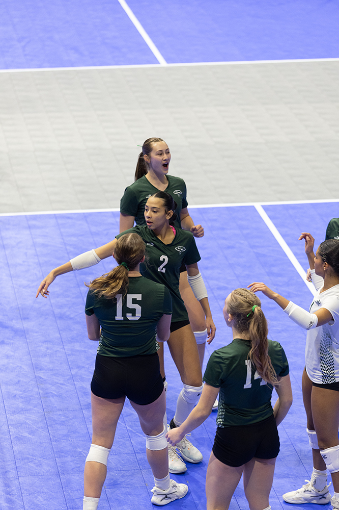 %_tempFileName1M6A7817%