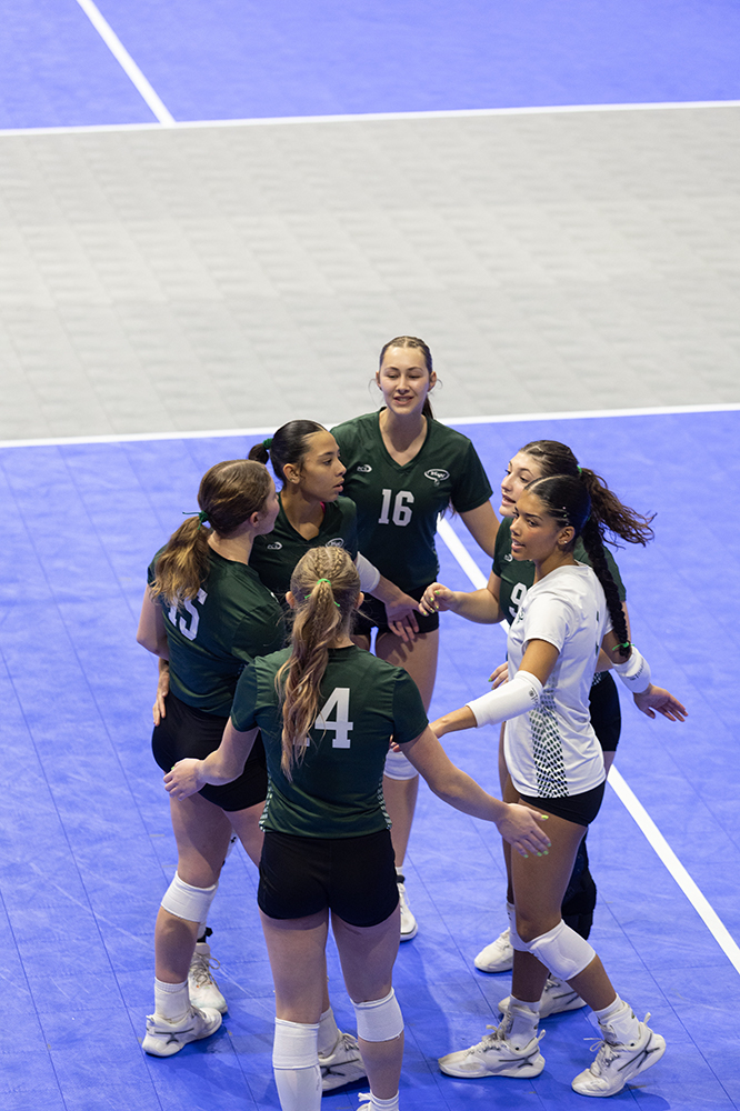 %_tempFileName1M6A7824%