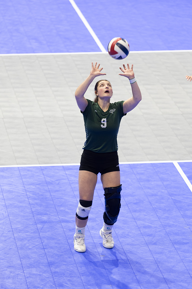 %_tempFileName1M6A7868%