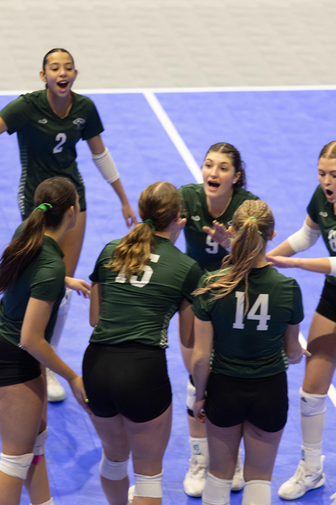 %_tempFileName1M6A7901%