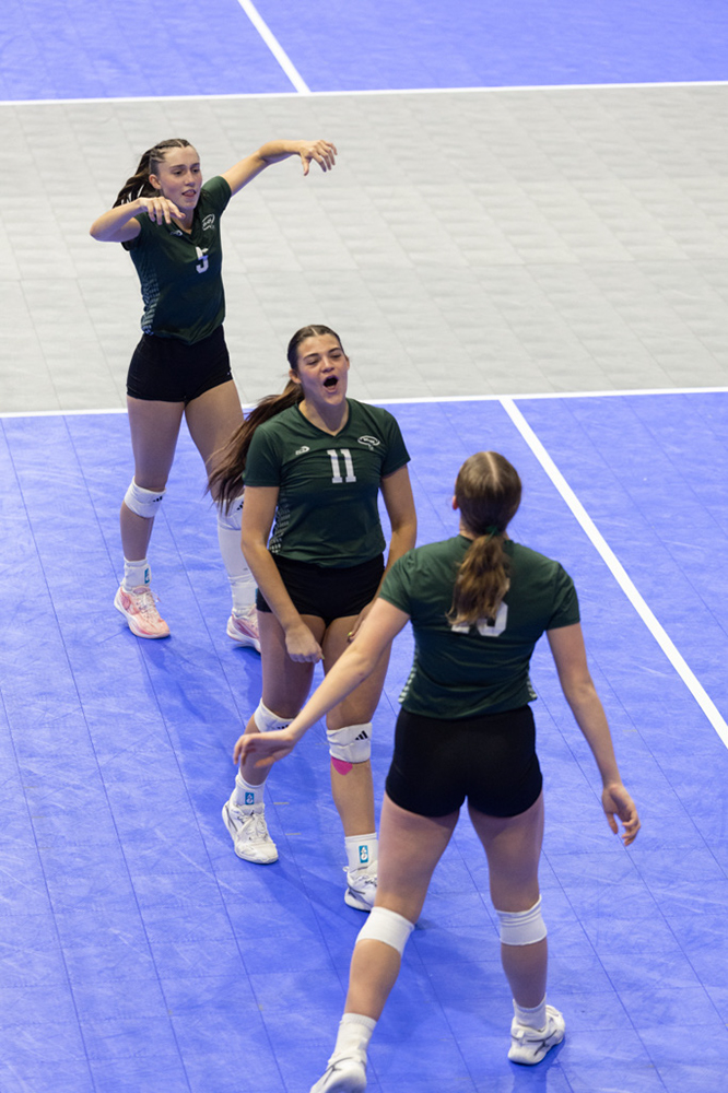 %_tempFileName1M6A7951%