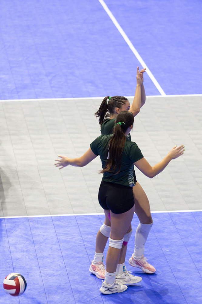 %_tempFileName1M6A8033%