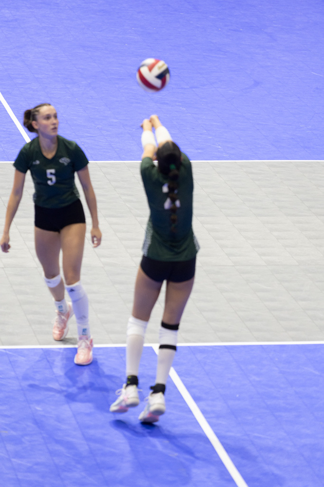 %_tempFileName1M6A8040%