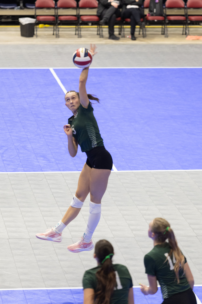 %_tempFileName1M6A8046%