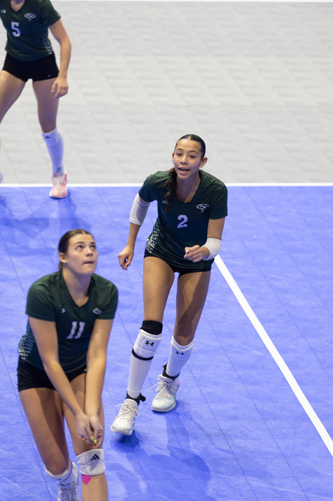 %_tempFileName1M6A8073%