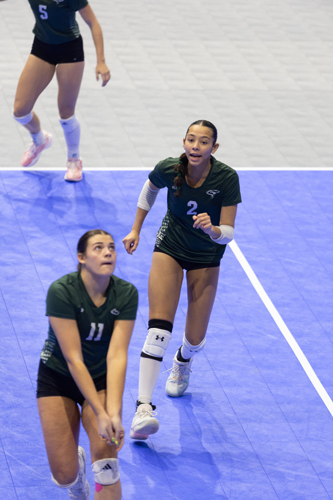 %_tempFileName1M6A8074%