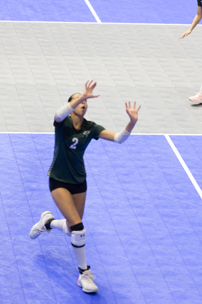 %_tempFileName1M6A8095%