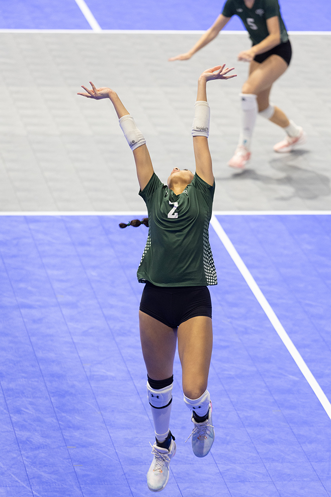 %_tempFileName1M6A8101%