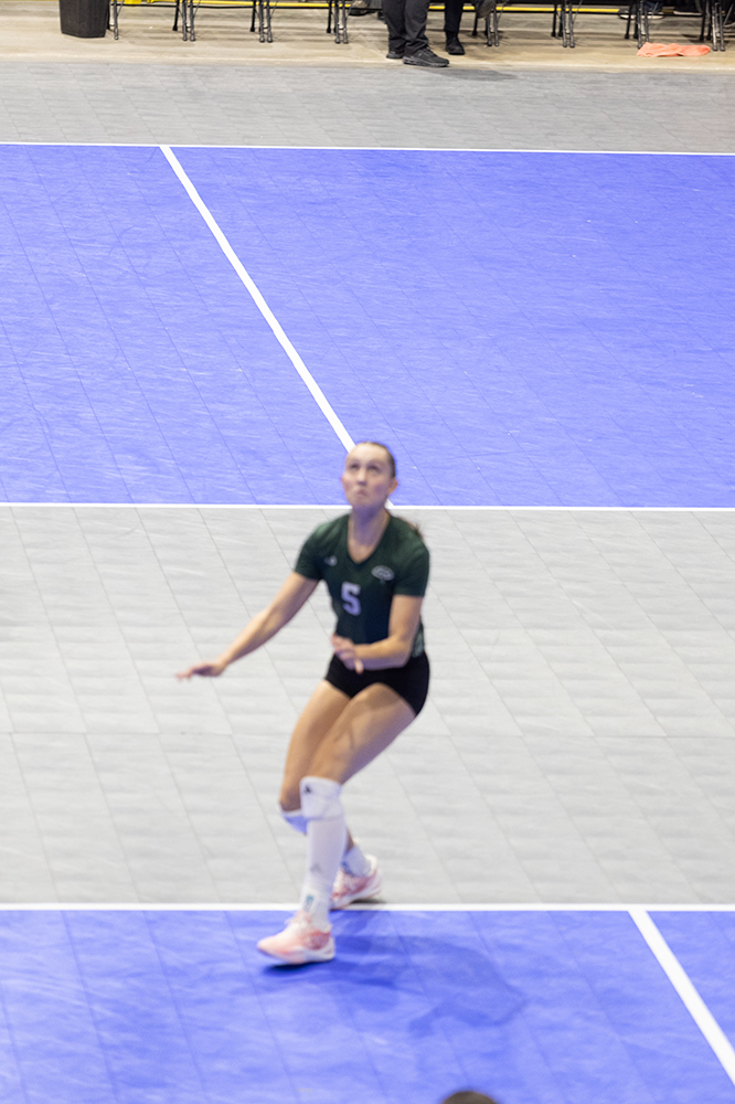 %_tempFileName1M6A8103%