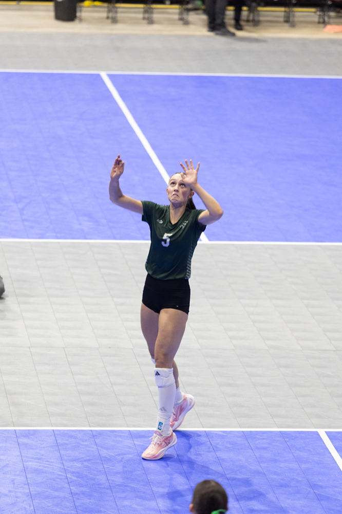 %_tempFileName1M6A8105%