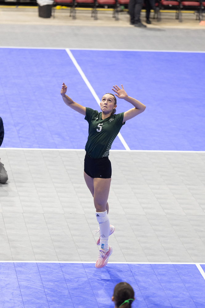 %_tempFileName1M6A8106%