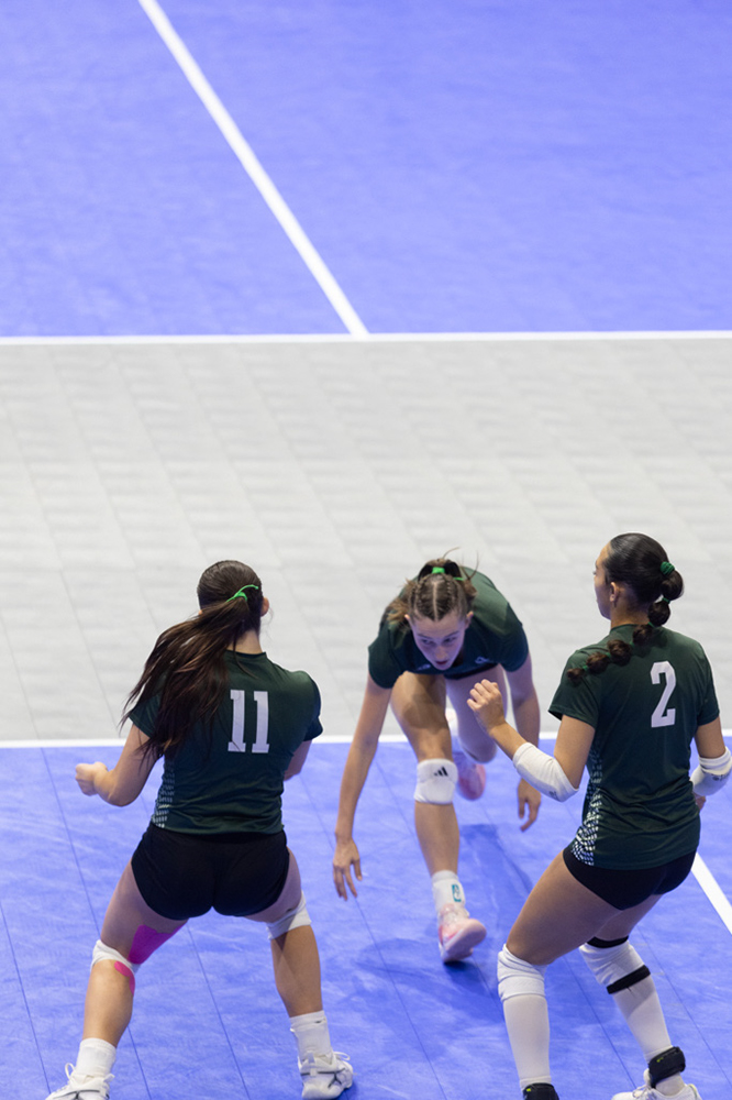 %_tempFileName1M6A8126%