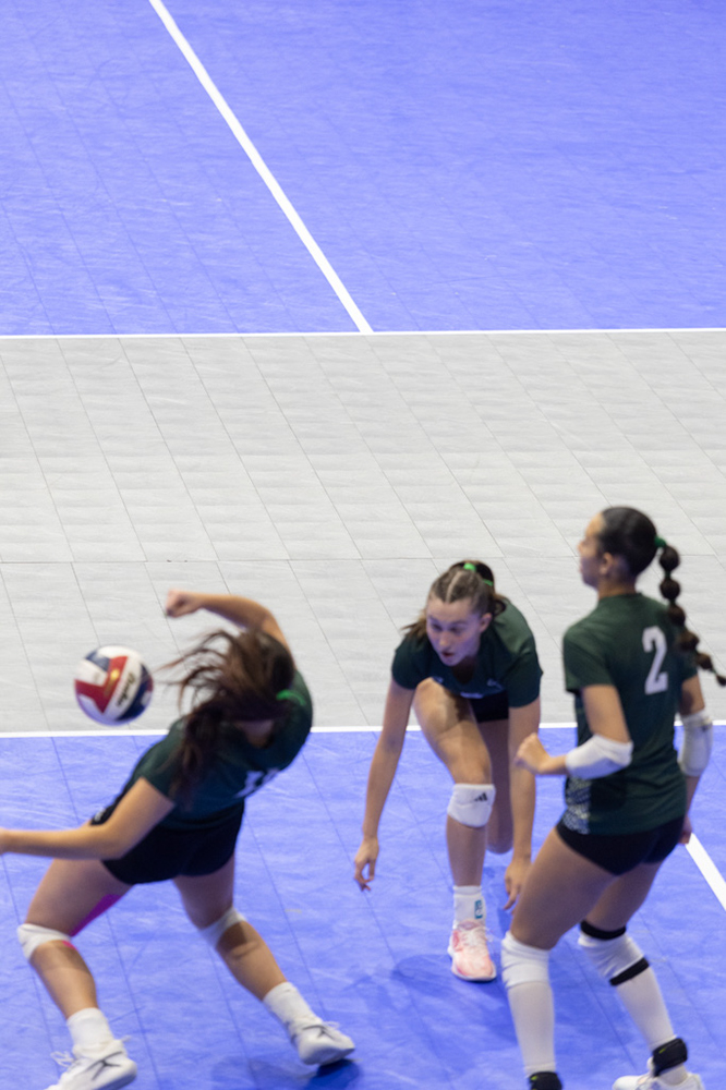 %_tempFileName1M6A8128%