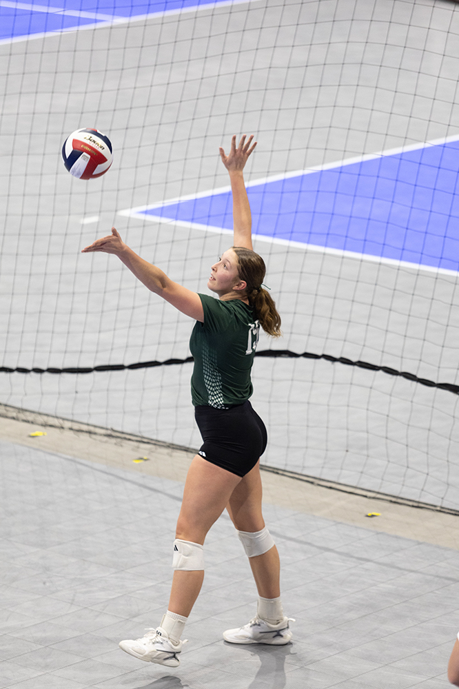 %_tempFileName1M6A8133%