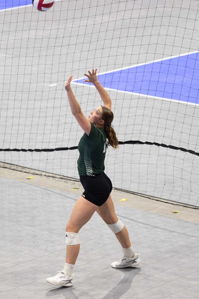 %_tempFileName1M6A8137%