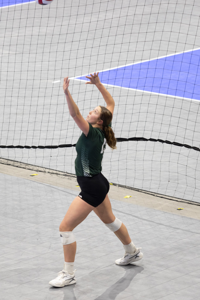 %_tempFileName1M6A8138%