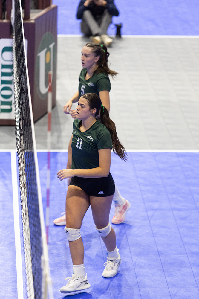 %_tempFileName1M6A8216%