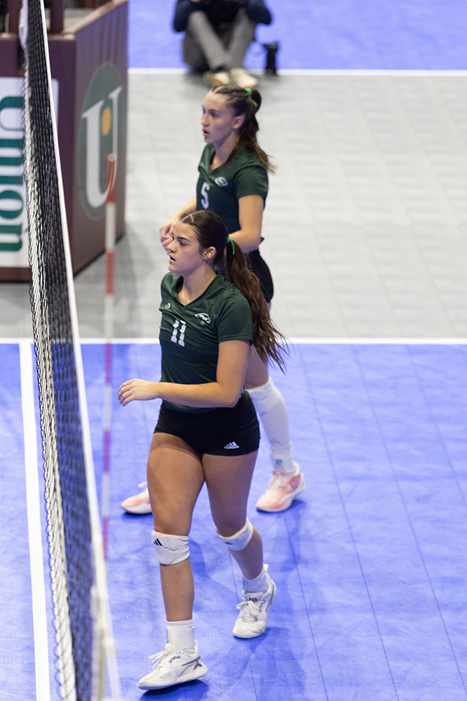 %_tempFileName1M6A8217%