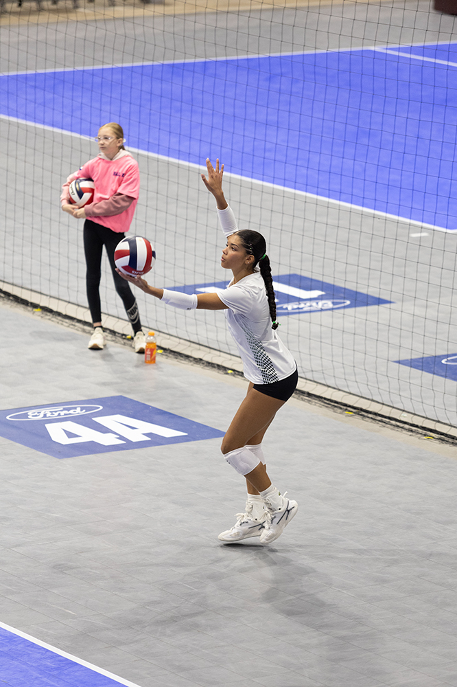 %_tempFileName1M6A8243%