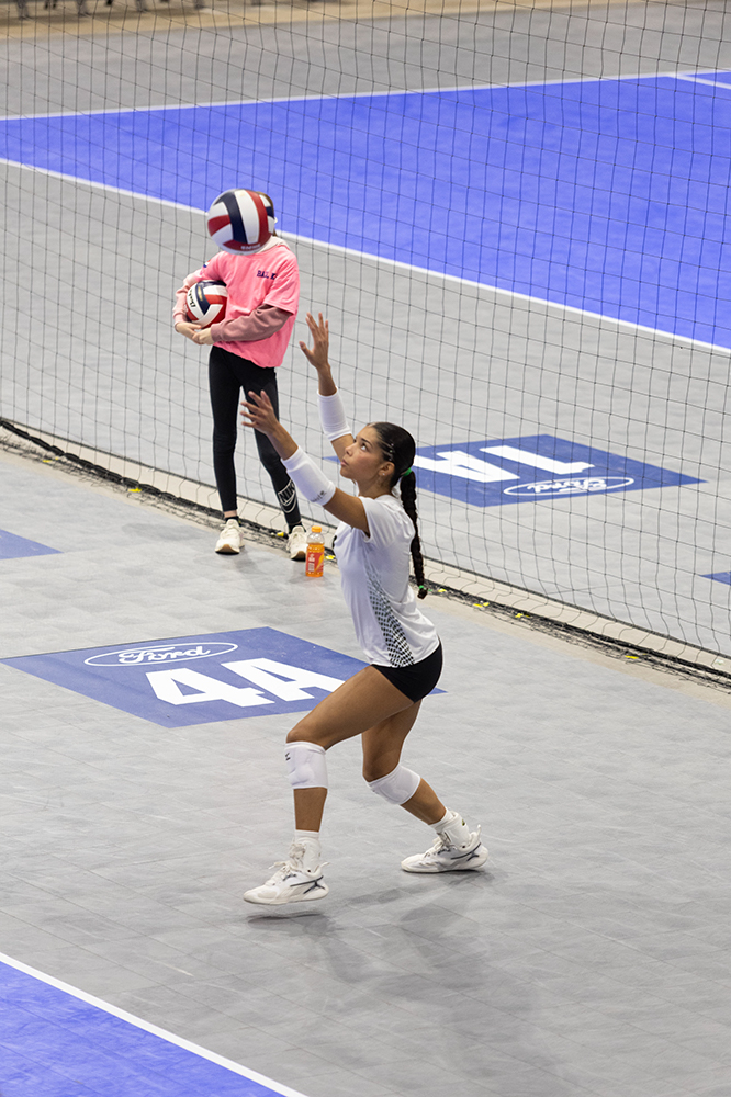 %_tempFileName1M6A8246%