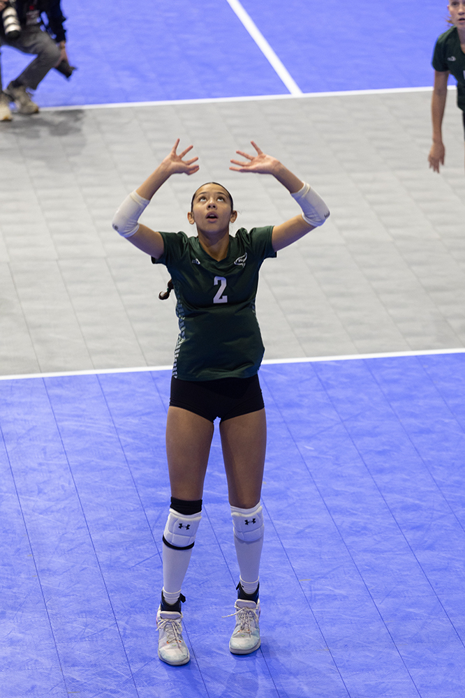 %_tempFileName1M6A8262%