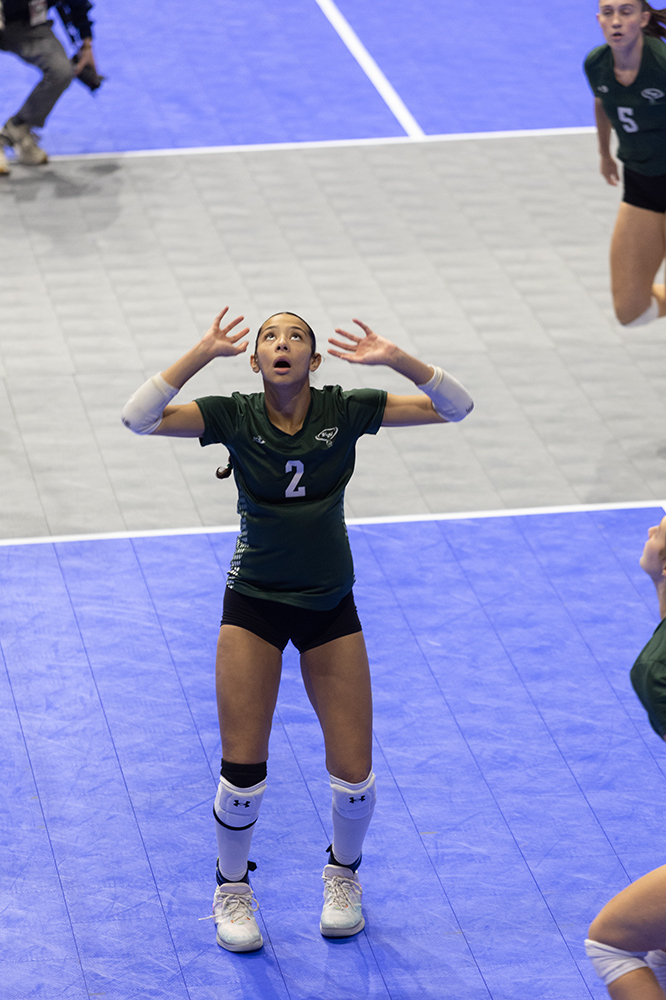 %_tempFileName1M6A8263%