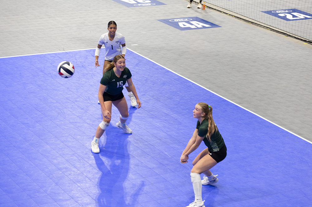 %_tempFileName1M6A8287%