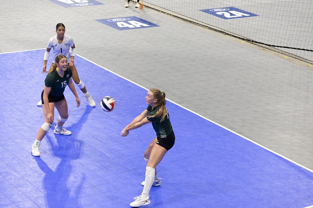 %_tempFileName1M6A8289%