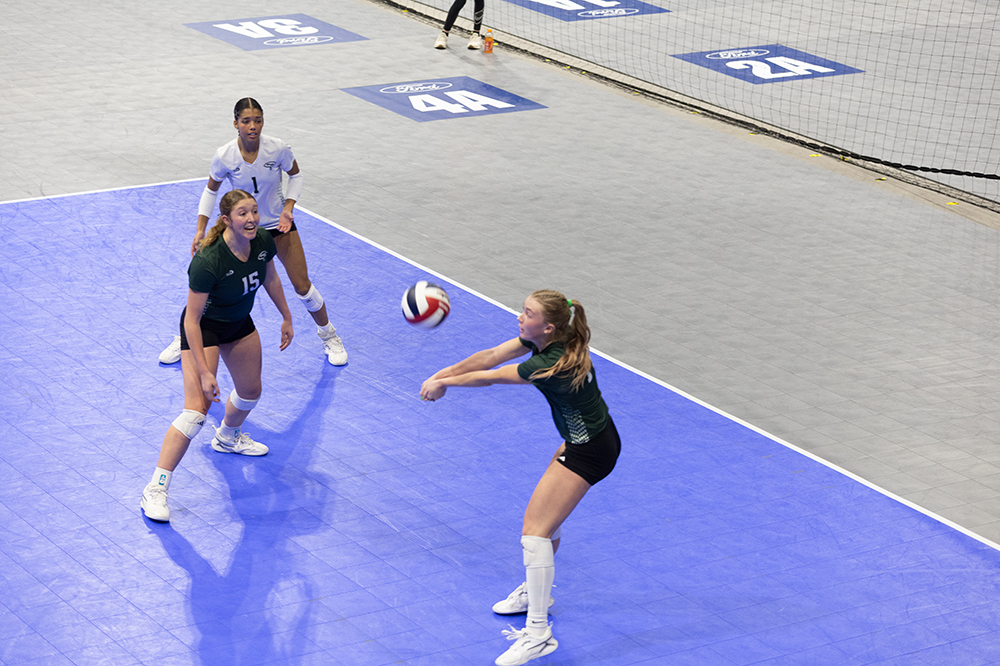 %_tempFileName1M6A8290%