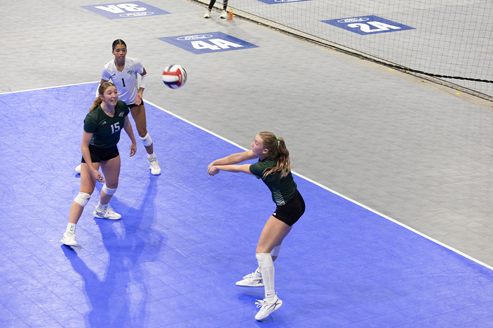 %_tempFileName1M6A8291%