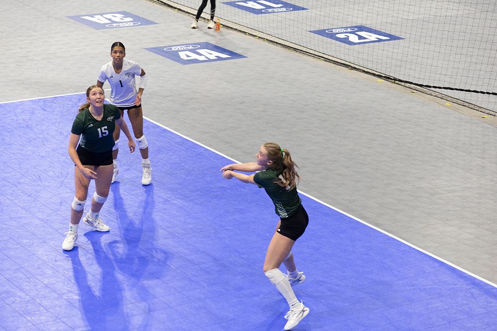 %_tempFileName1M6A8293%