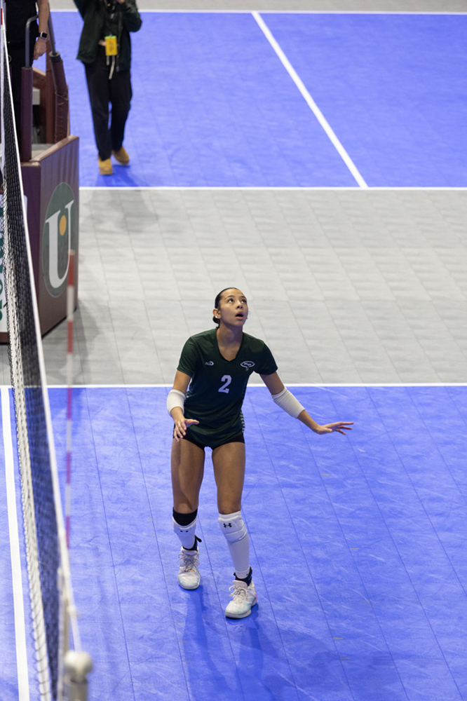 %_tempFileName1M6A8319%