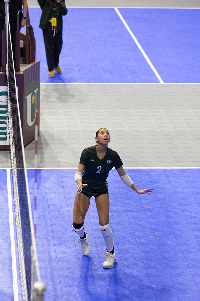 %_tempFileName1M6A8320%