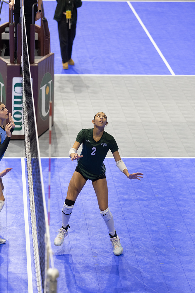 %_tempFileName1M6A8323%