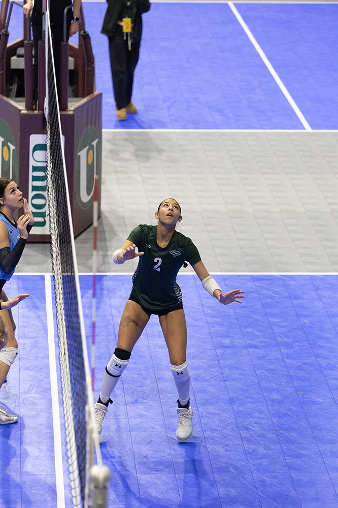 %_tempFileName1M6A8324%