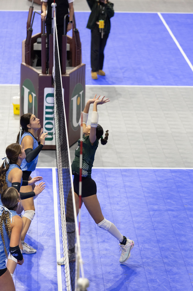 %_tempFileName1M6A8336%