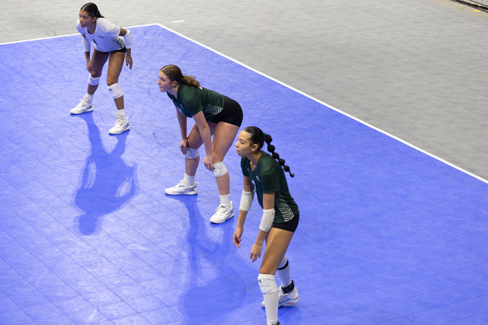 %_tempFileName1M6A8395%