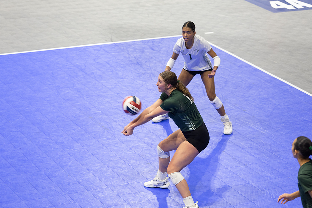 %_tempFileName1M6A8403%