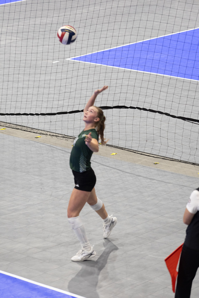 %_tempFileName1M6A8413%