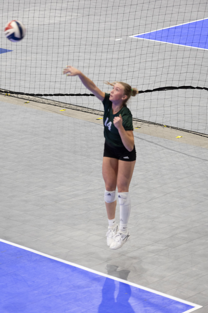 %_tempFileName1M6A8417%