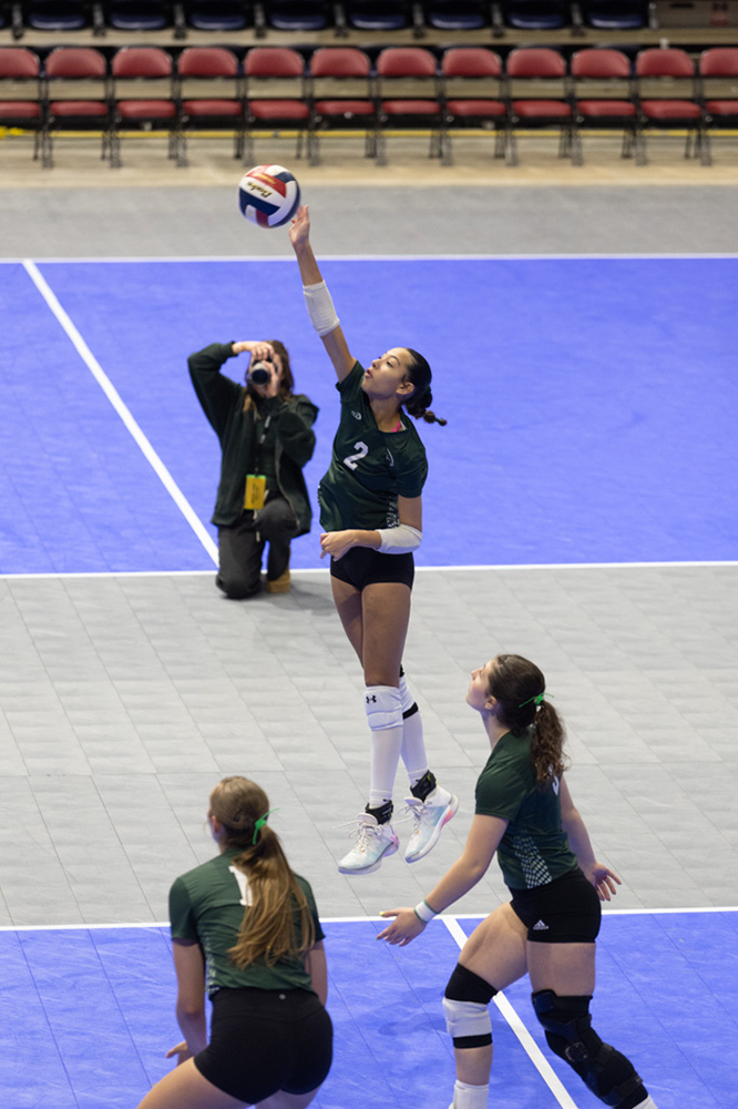 %_tempFileName1M6A8442%