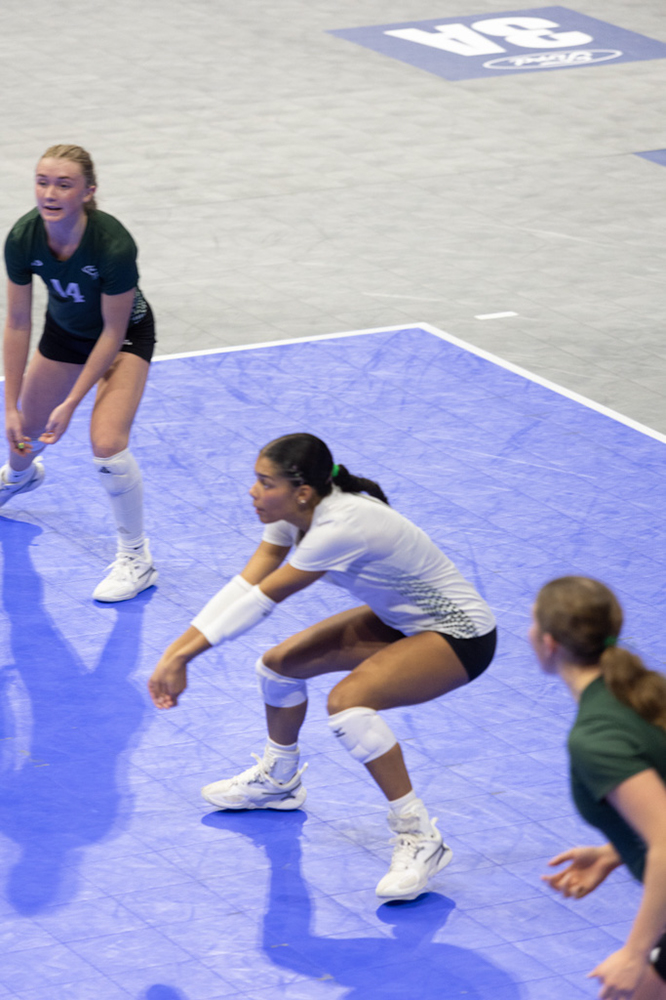 %_tempFileName1M6A8461%