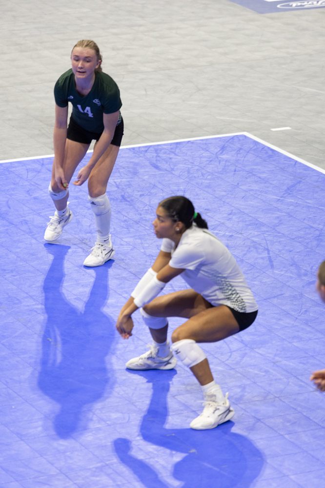 %_tempFileName1M6A8463%