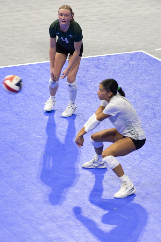 %_tempFileName1M6A8464%