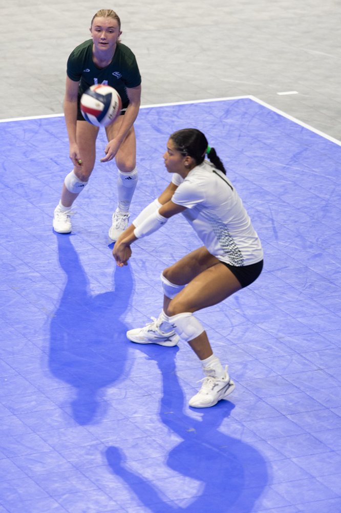 %_tempFileName1M6A8466%