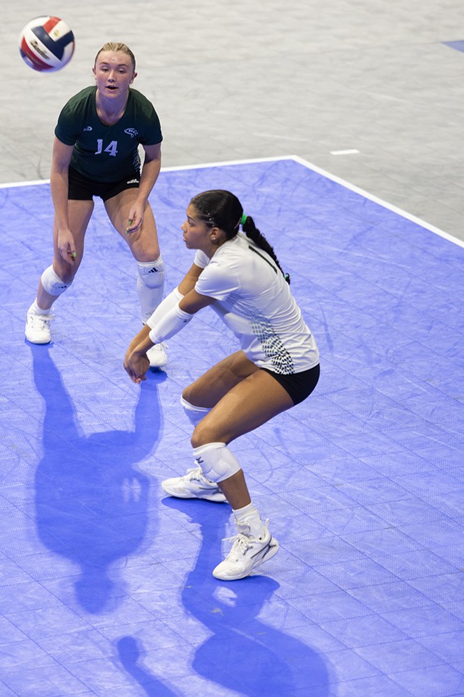 %_tempFileName1M6A8467%